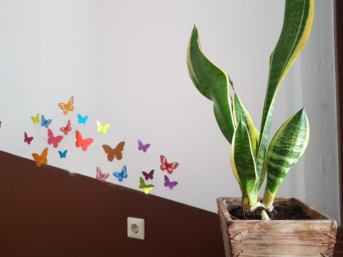 Penthouse Backpackers Vandrerhjem Osnabrück Eksteriør bilde