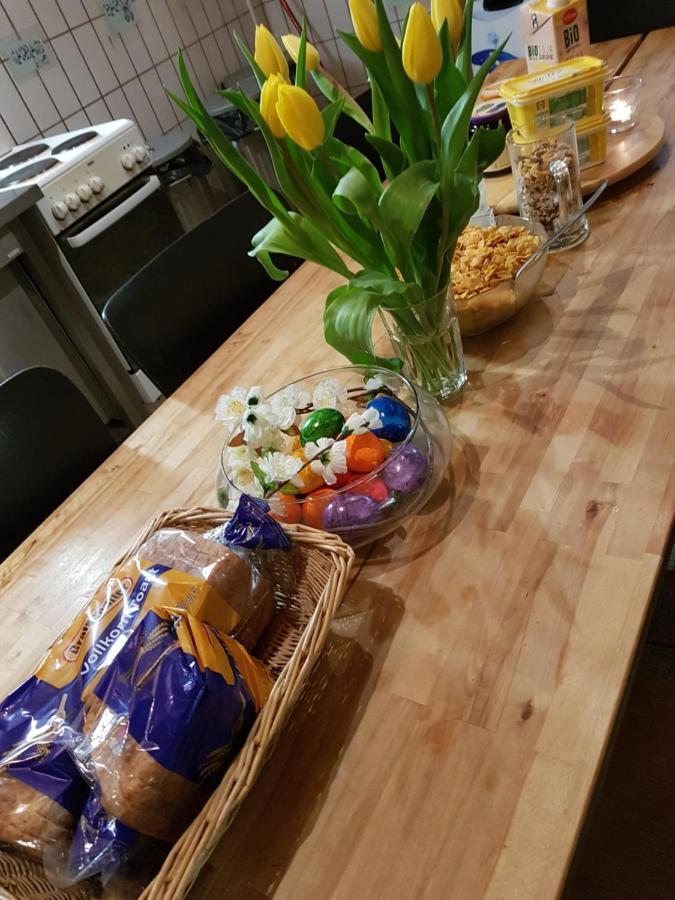 Penthouse Backpackers Vandrerhjem Osnabrück Eksteriør bilde