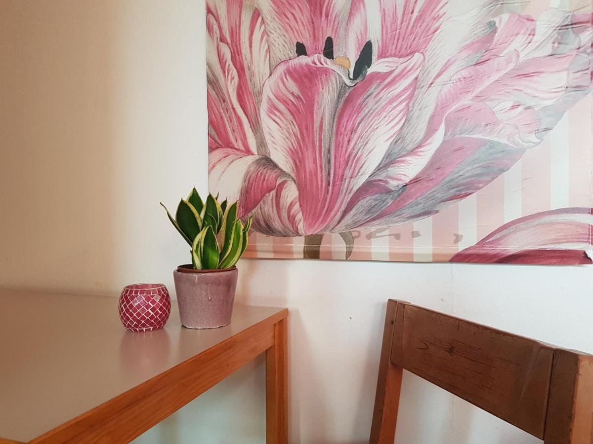 Penthouse Backpackers Vandrerhjem Osnabrück Eksteriør bilde